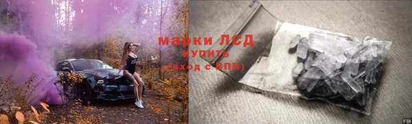 мяу мяу мука Белокуриха