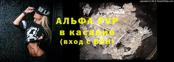 мяу мяу мука Белокуриха