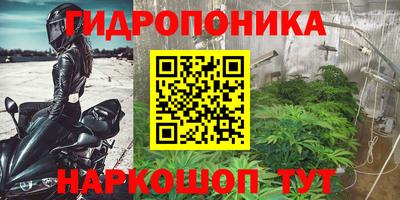 стафф Балаково