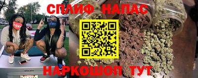 гашик Балахна