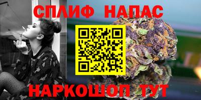 стафф Балаково