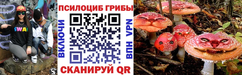 купить  цена  Видное  OMG ССЫЛКА  Псилоцибиновые грибы мицелий 