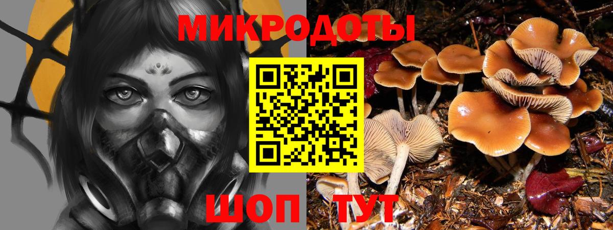 Галлюциногенные грибы Psilocybine cubensis  Вход с VPN  Видное 