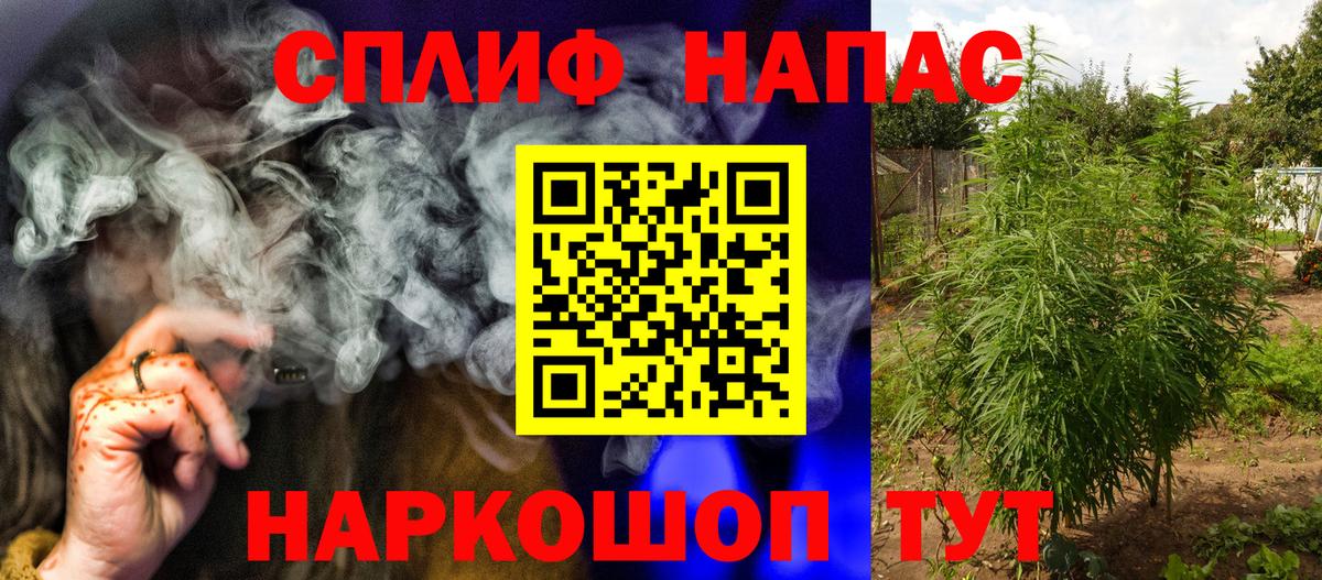 Каннабис VHQ  Вход с VPN  Каннабис сатива  Канабис планчик  Конопля сатива  Видное 